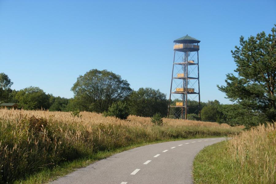 Vrchbělá