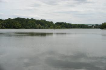 Počernický rybník (© Jiří Špaček, 08/2016)