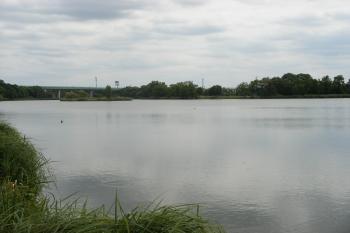 Počernický rybník (© Jiří Špaček, 08/2016)