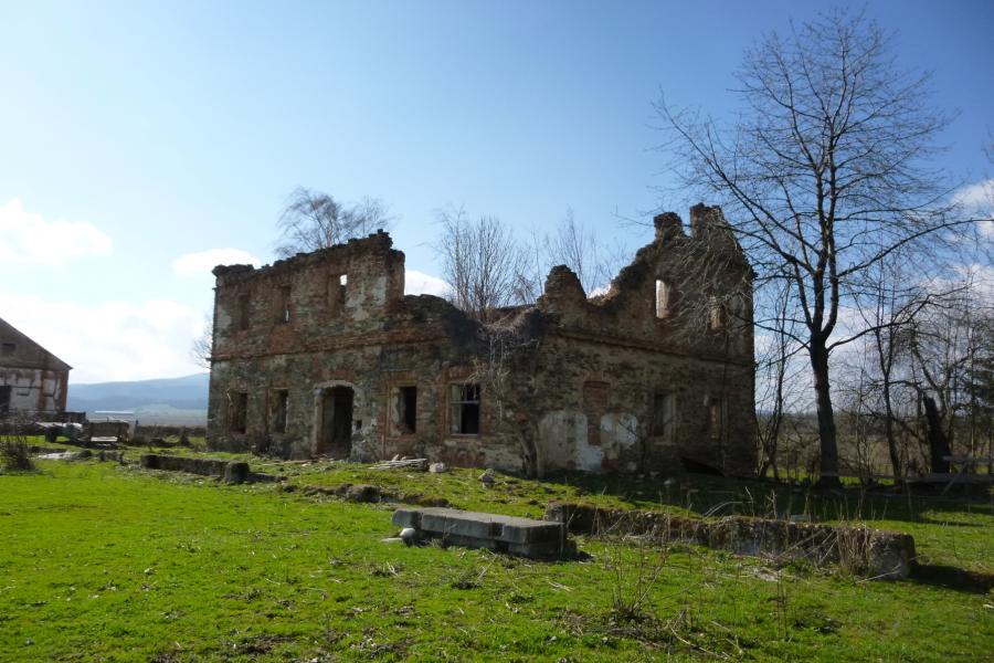 Kohout