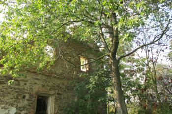 sv.strana (© D Dohňanský, 10/2017)