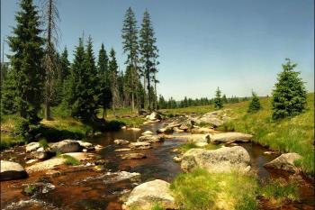 Rašeliniště Jizery (© Milan Bouška 07/2010)