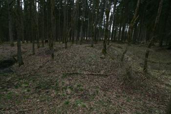  (© Petr Nožička 04/2016)