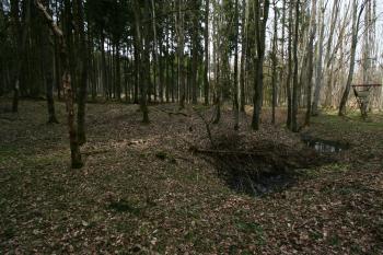  (© Petr Nožička 04/2016)