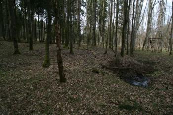  (© Petr Nožička 04/2016)