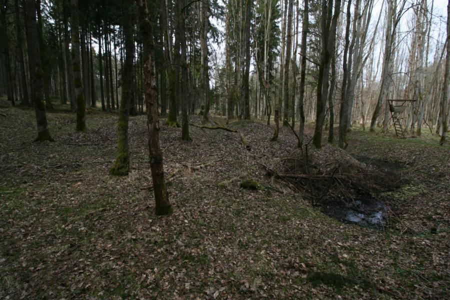 Neslívy