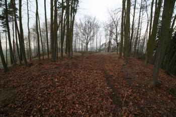 Pohled na plochu tvrziště (© Petr Nožička 12/2015)