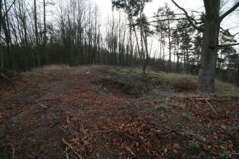 Pohled na tvrziště s patrnou prohlubní (© Petr Nožička 12/2015)