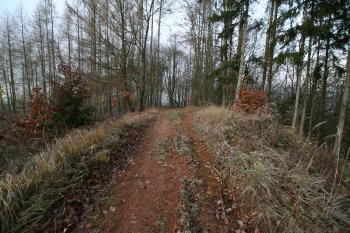 Pohled na tvrziště z úzké šíje (© Petr Nožička 12/2015)