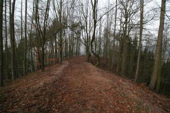 Úzká šíje, pohled od tvrziště (© Petr Nožička 12/2015)