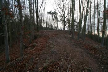 Pohled na hmotu tvrziště (© Petr Nožička 12/2015)