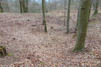 Centrální plocha pokryta řadou depresí (© Dušan Dohňanský  04/2021)