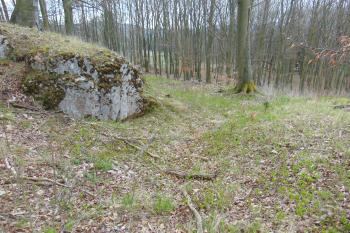 Jediný příkop s valem na sz. straně ,vlevo hrádek, vpravo val (© Dušan Dohňanský  04/2021)