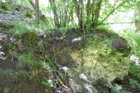 Tasnovice