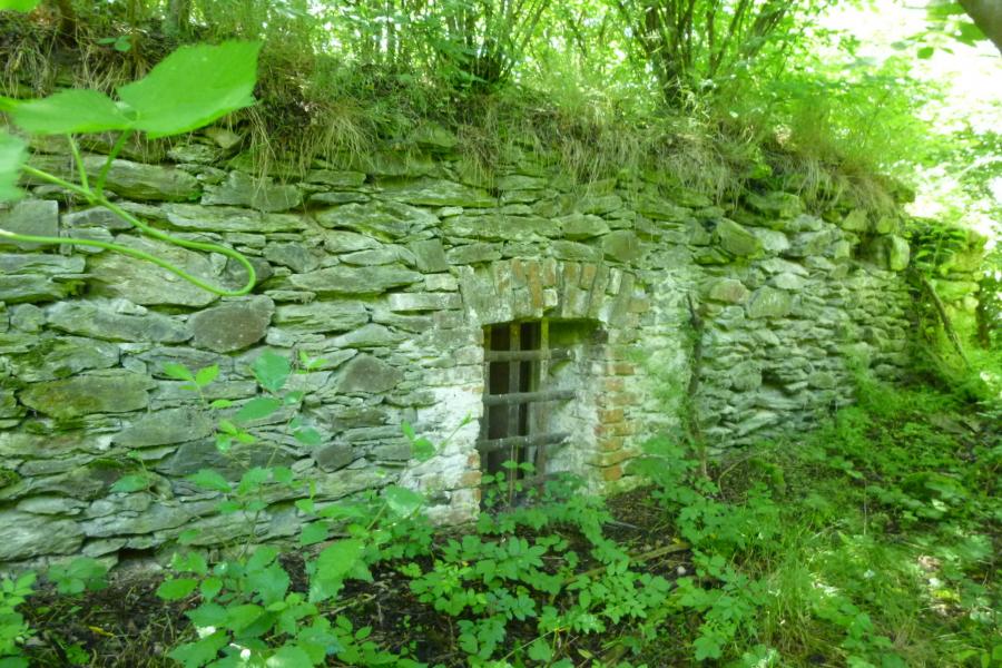 Tasnovice