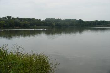Kopidlno - zámecký rybník (© Jiří Špaček, 09/2016)