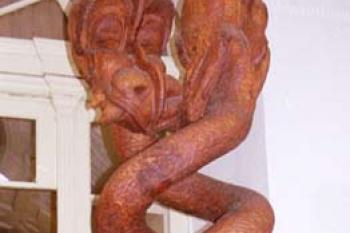 Krásný dráček (© 2002 Jiří Čížek)