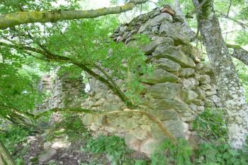 zříceniny loveckého zámečku Dianin Dvůr (© Vlastislav Mareček, 06/2016)