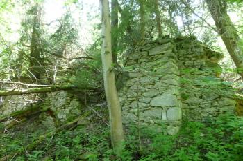 zříceniny loveckého zámku Walddorf (© Vlastislav Mareček, 06/2016)
