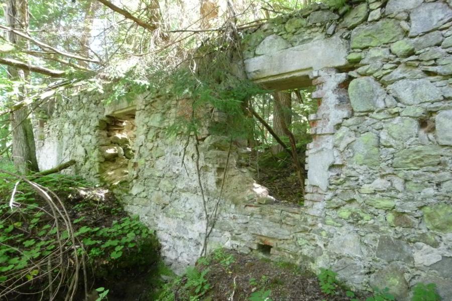 Walddorf