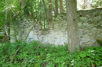 zříceniny loveckého zámku Walddorf (© Vlastislav Mareček, 06/2016)