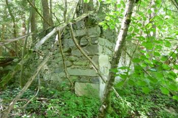 zříceniny loveckého zámku Walddorf (© Vlastislav Mareček, 06/2016)