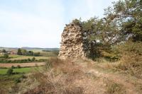 Buchenstein