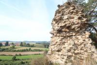Buchenstein