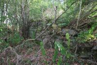 Buchenstein
