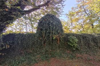 II. výklenková kaple v jižní úseku ohradní zdi kostela - zv. břečťanová (© Jaroslav Špiroch  10/2026)
