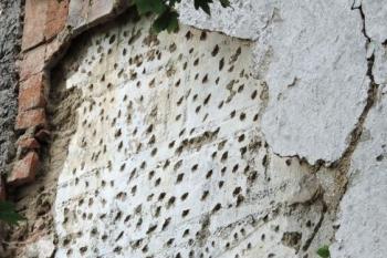 zachovalé pozůstatky psaníčkových sgrafit na severní frontě zámku (© Jan P. Štěpánek 08/2014)