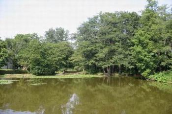 Blatná (2003 ©Radim Bystroň)