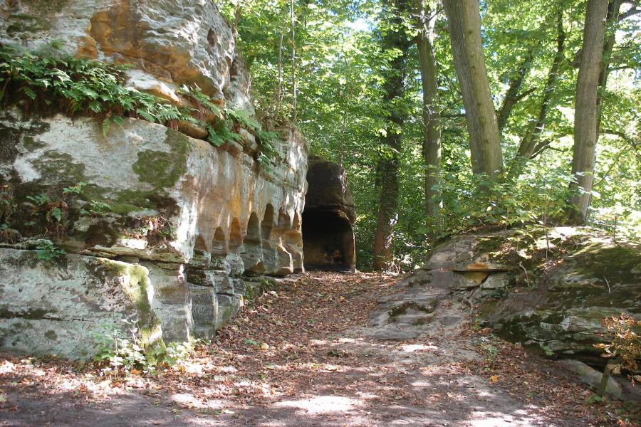 přírodní rezervace Vinořský park