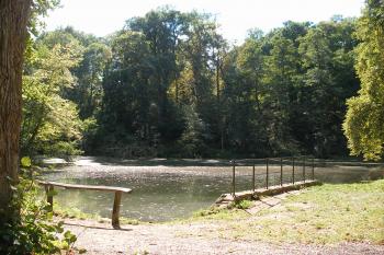 Vinořský park - rybník U Kamenného stolu (© Simona Kidlesová, 9/2015)