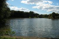 přírodní rezervace Vinořský park