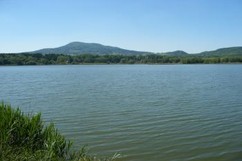 Rybník Chmelař (© Jiří Špaček, 6/2010)