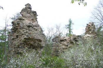 Dolní Bělá - zbytky obvodové hradby jádra hradu (© zdeněk komínek, 05/2010)