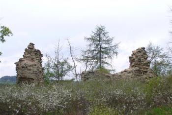 Dolní Bělá - zbytky obvodové hradby jádra hradu (© zdeněk komínek, 05/2010)