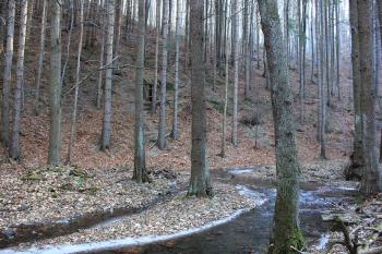  ( © Luděk Vláčil 12/2016)