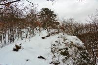 Breznica