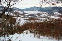 Breznica