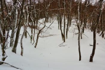 Jihozápadní vysunuté opevnění hradu. (© Pavel Semple, 01/2017)