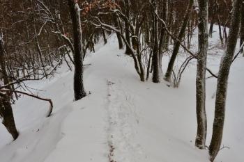I ve sněhu jsou patrné přímky pozůstatků zdiva na západní straně vysunutého opevnění. (© Pavel Semple, 01/2017)