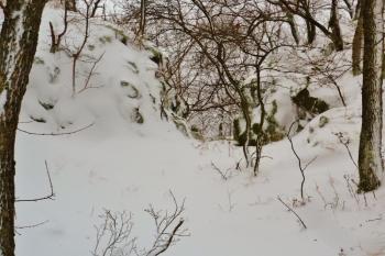 Ve skále vylámaný příkop na severozápadním konci předhradí. (© Pavel Semple, 01/2017)