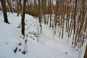 Pohled podél severního okraje jádra hradu k severozápadu.  Na pozadí je severozápadní část předhradí. (© Pavel Semple, 01/2017)