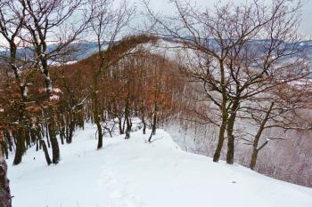 Pohled ze Sokolí skály na hradní kopec. (© Pavel Semple, 01/2017)