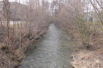 říčka Olešnice tvoří severní hranici tvrzištního areálu (© D Dohňanský, 03/2017)