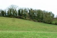 Mannan Castle