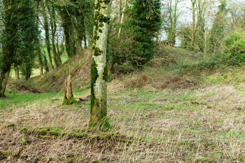 Mannan Castle
