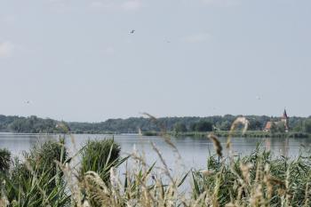  ( © Luděk Vláčil 06/2013)